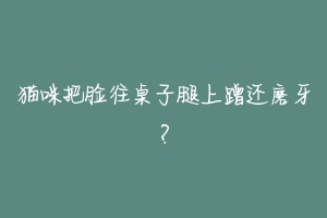 猫咪把脸往桌子腿上蹭还磨牙?-动物百科
