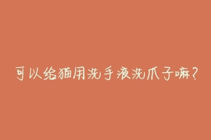 可以给猫用洗手液洗爪子嘛？-动物百科