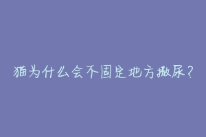 猫为什么会不固定地方撒尿？-动物百科
