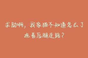 求助啊，我家猫不知道怎么了拖着后腿走路？-动物百科