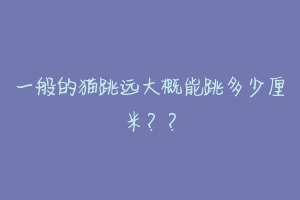 一般的猫跳远大概能跳多少厘米??-动物百科