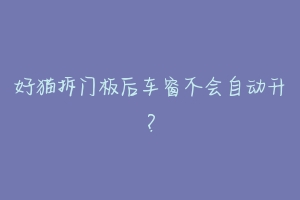 好猫拆门板后车窗不会自动升?-动物百科