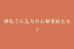 猫老了以后为什么都要跑出去?-动物百科