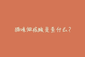 猫咪做核酸是查什么?-动物百科