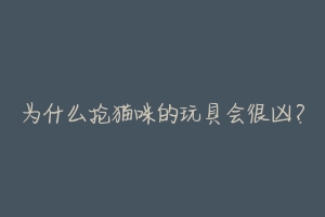 为什么抢猫咪的玩具会很凶?-动物百科