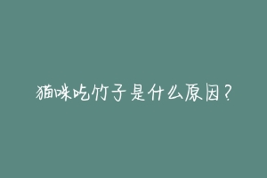 猫咪吃竹子是什么原因?-动物百科