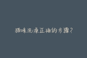 猫咪洗澡正确的步骤?-动物百科