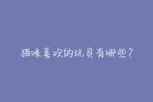 猫咪喜欢的玩具有哪些?-动物百科
