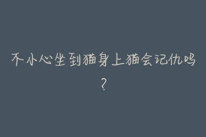 不小心坐到猫身上猫会记仇吗？-动物百科