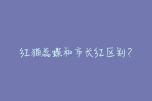 红猫蕊蝶和市长红区别？-动物百科