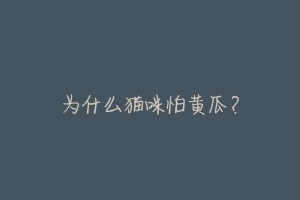 为什么猫咪怕黄瓜？-动物百科