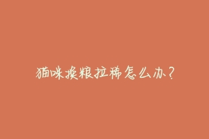 猫咪换粮拉稀怎么办？-动物百科