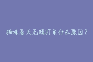 猫咪春天无精打采什么原因?-动物百科