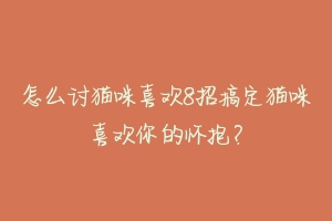 怎么讨猫咪喜欢8招搞定猫咪喜欢你的怀抱?-动物百科