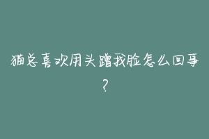 猫总喜欢用头蹭我脸怎么回事?-动物百科