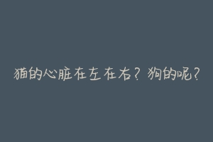 猫的心脏在左在右?狗的呢?-动物百科