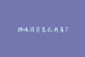 猫咪用具怎么消毒?-动物百科