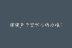 猫猫声音突然变得沙哑?-动物百科