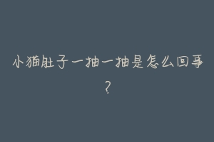 小猫肚子一抽一抽是怎么回事?-动物百科