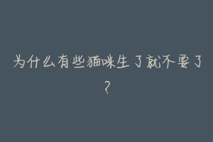 为什么有些猫咪生了就不要了?-动物百科