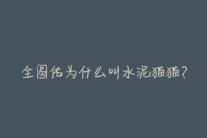 全圆佑为什么叫水泥猫猫?-动物百科