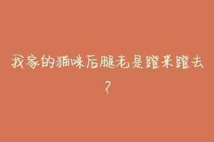 我家的猫咪后腿老是蹬来蹬去?-动物百科
