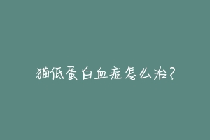 猫低蛋白血症怎么治?-动物百科