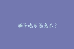 猫不吃东西怎么?-动物百科