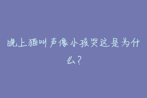 晚上猫叫声像小孩哭这是为什么?-动物百科