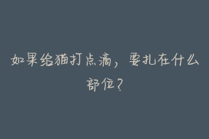 如果给猫打点滴,要扎在什么部位?-动物百科