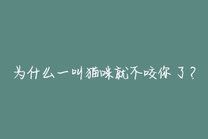 为什么一叫猫咪就不咬你了?-动物百科
