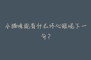 小猫咪能有什么坏心眼呢下一句?-动物百科