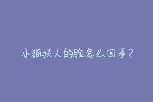 小猫拱人的脸怎么回事?-动物百科