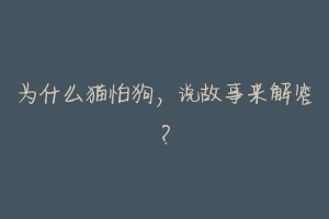 为什么猫怕狗,说故事来解答?-动物百科