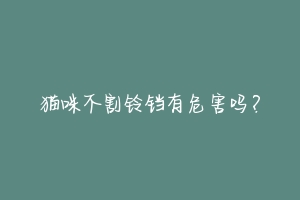 猫咪不割铃铛有危害吗?-动物百科