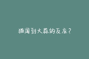 猫闻到大蒜的反应?-动物百科