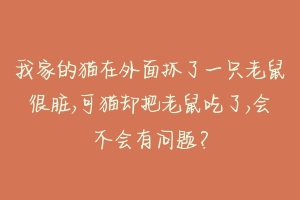 我家的猫在外面抓了一只老鼠很脏,可猫却把老鼠吃了,会不会有问题?-动物百科