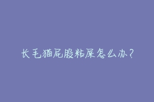 长毛猫屁股粘屎怎么办?-动物百科