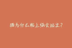 猫为什么粘上纸会站立?-动物百科