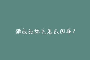 猫疯狂舔毛怎么回事?-动物百科