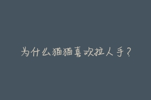 为什么猫猫喜欢拉人手?-动物百科