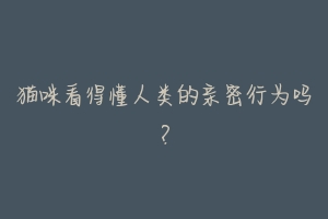 猫咪看得懂人类的亲密行为吗?-动物百科