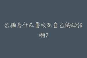 公猫为什么要咬死自己的幼仔啊?-动物百科