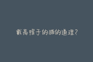 戴高帽子的猫的道理？-动物百科