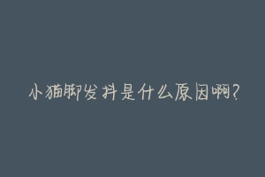 小猫脚发抖是什么原因啊？-动物百科