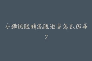 小猫的眼睛流眼泪是怎么回事？-动物百科
