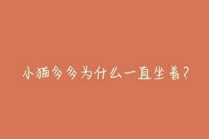 小猫多多为什么一直坐着?-动物百科