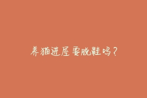 养猫进屋要脱鞋吗?-动物百科