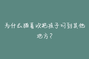 为什么猫喜欢把孩子叼到其他地方？-动物百科