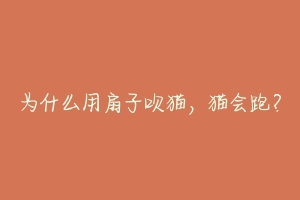 为什么用扇子吹猫，猫会跑？-动物百科